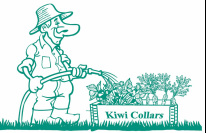 Kiwi Collars Logo - Pallet Collars